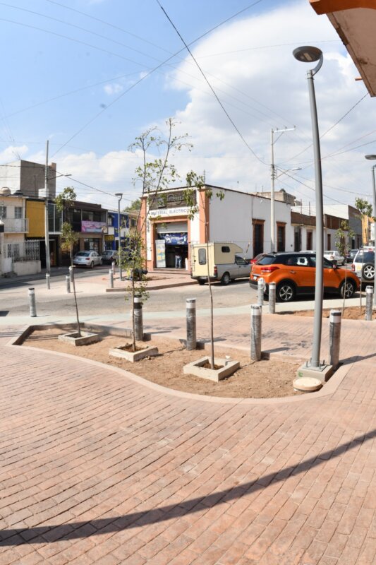 Mejoran imagen urbana y arbolado en calles de Irapuato.